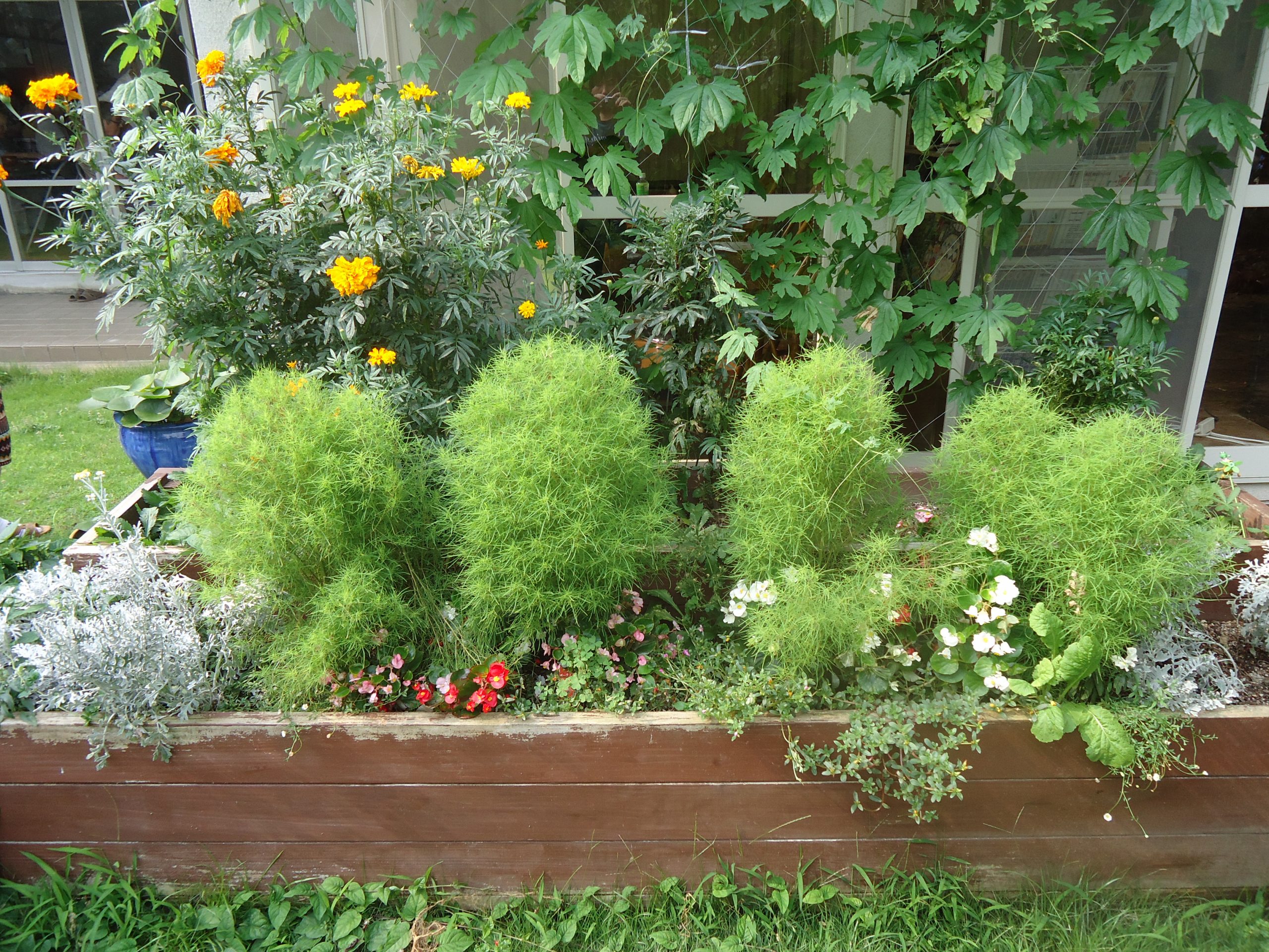 とある施設の花壇の画像です