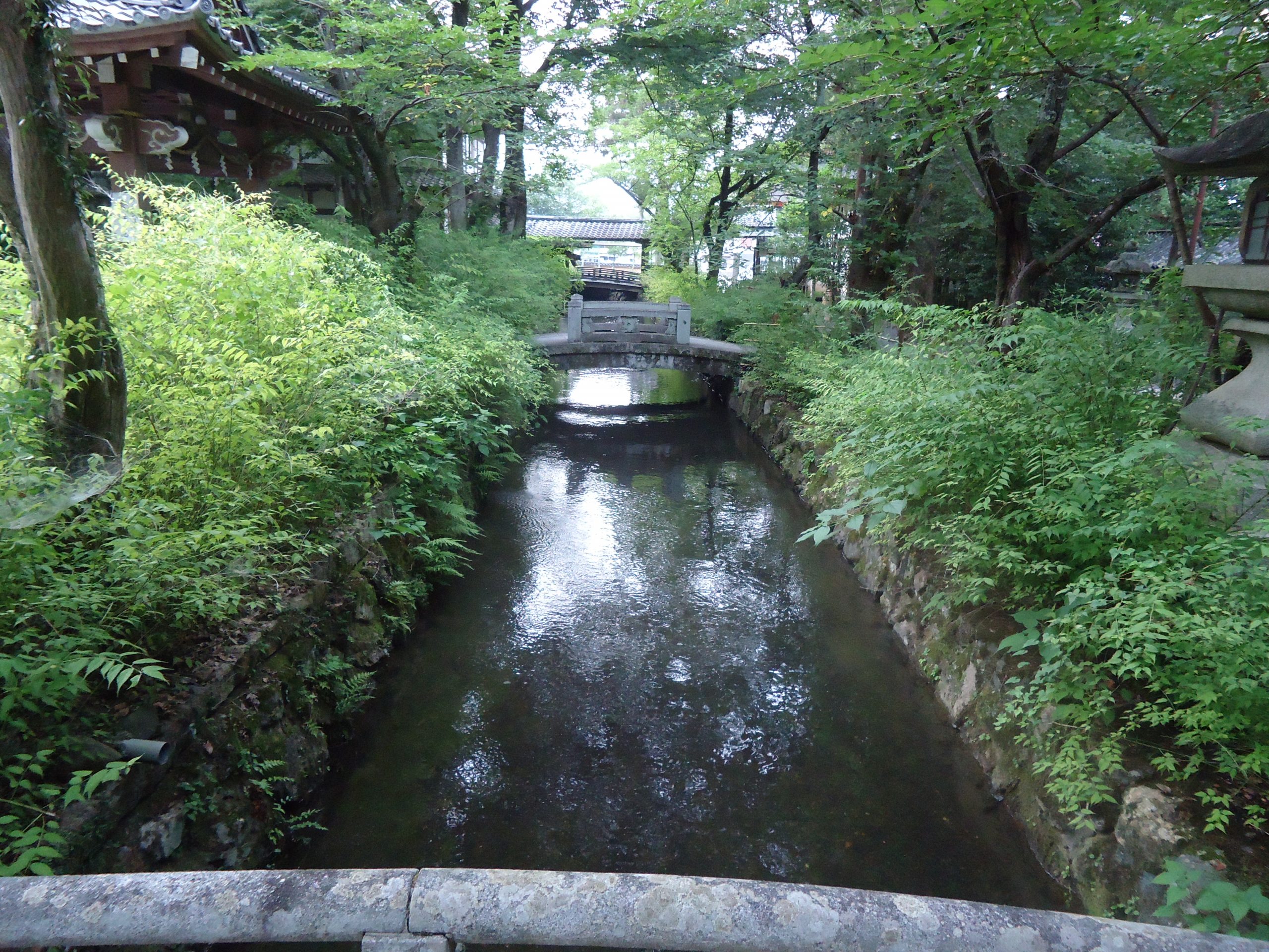 松尾大社の水路の画像です