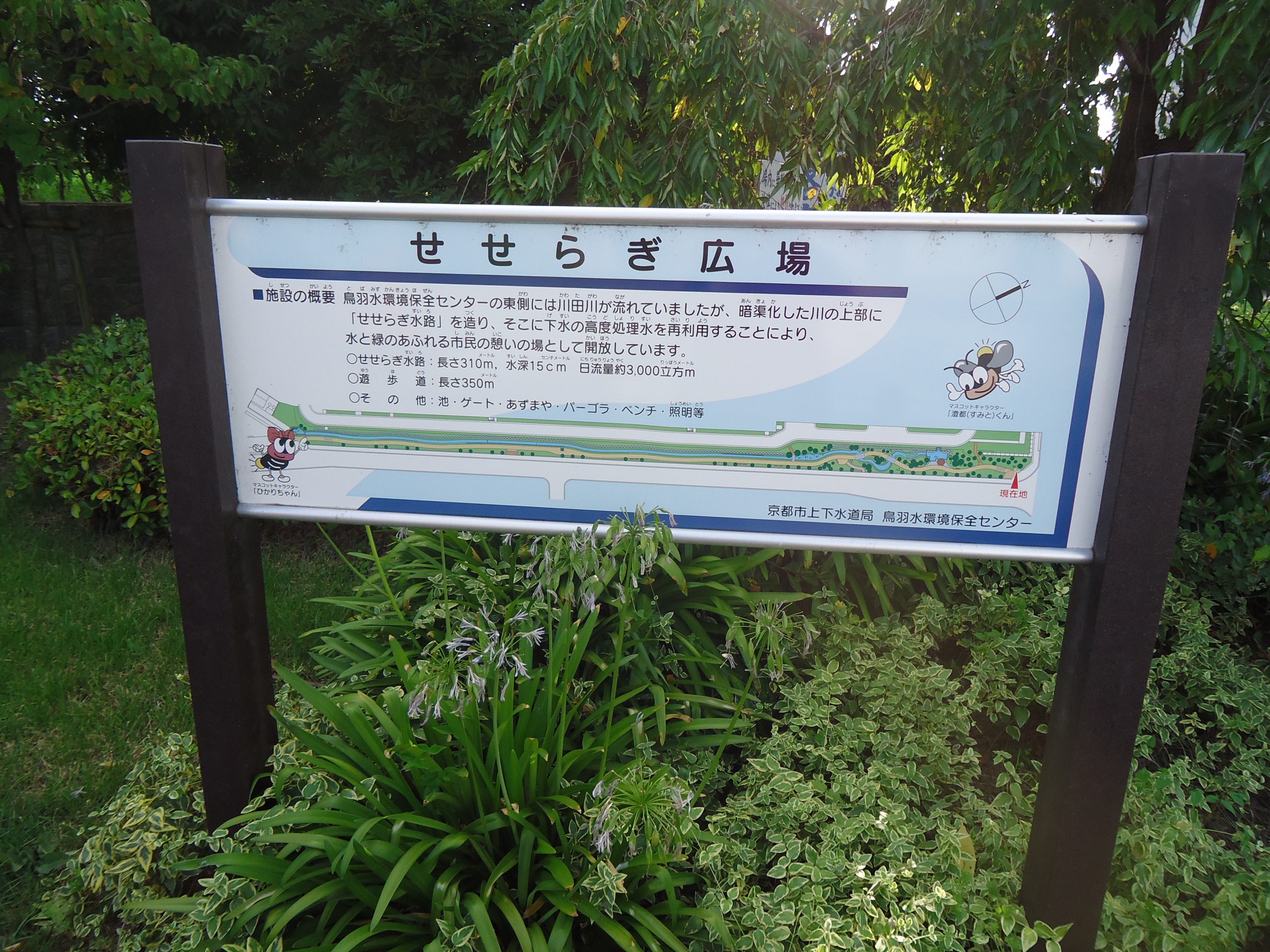 水道局の広場の画像です