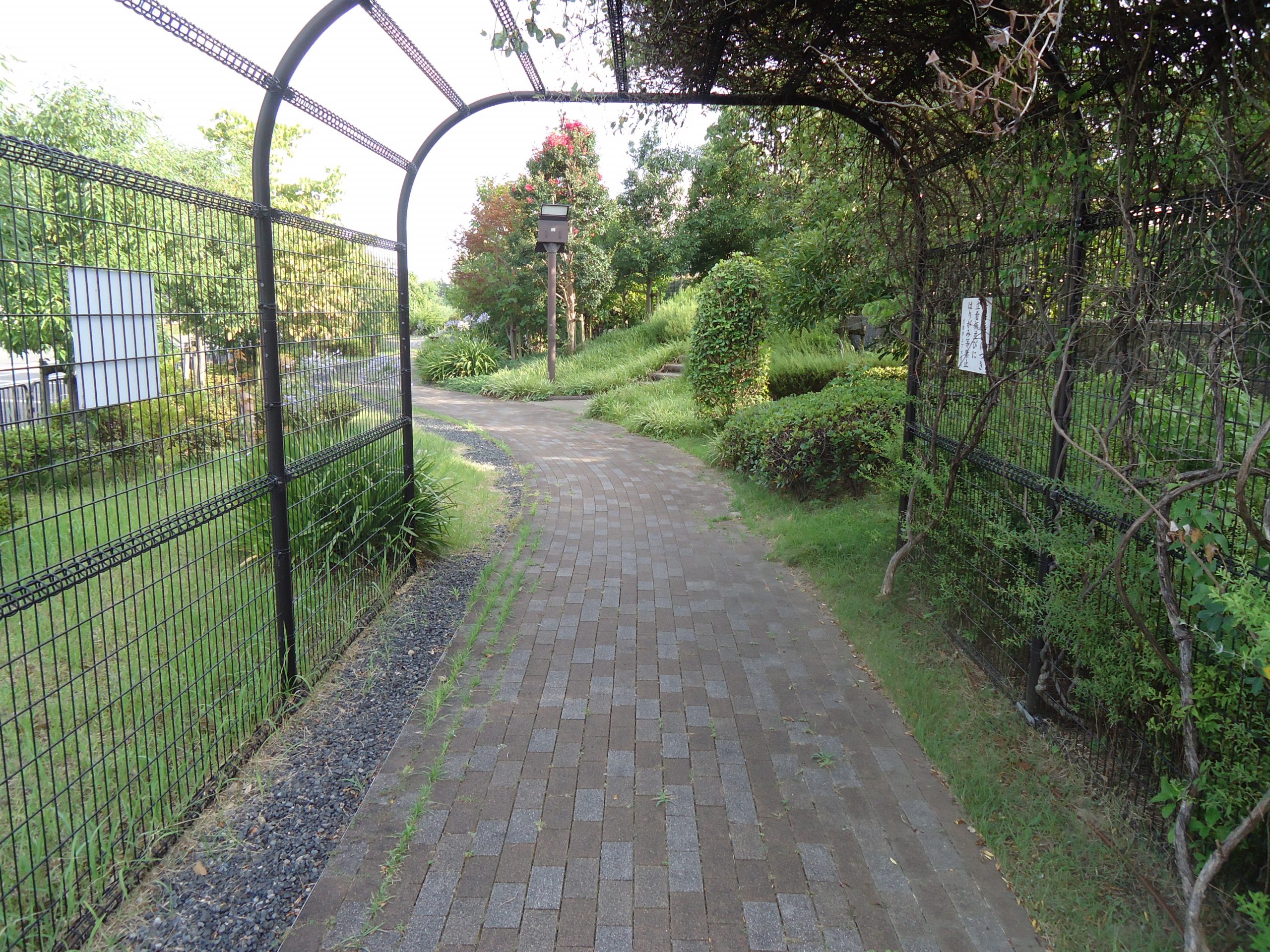 水道局の広場その1の画像です