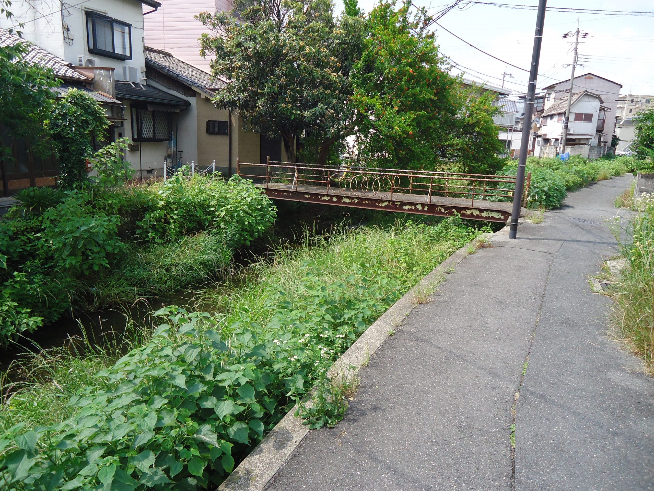 とある田舎の道その2