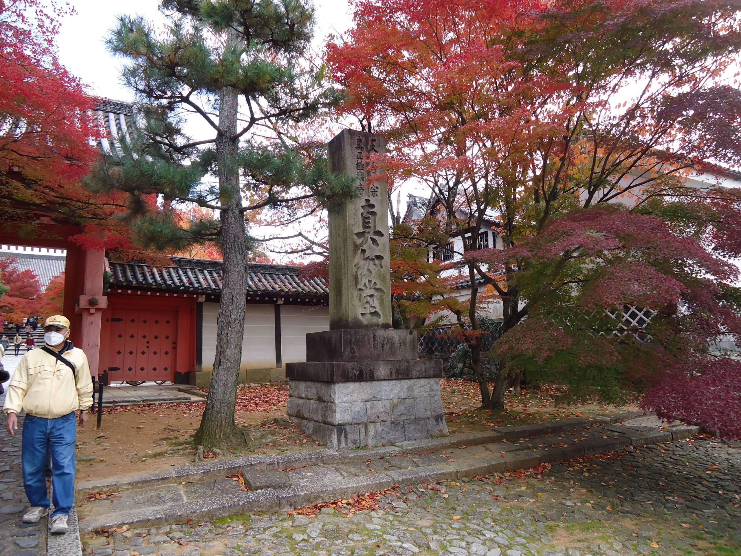 秋の紅葉の真如堂の画像です